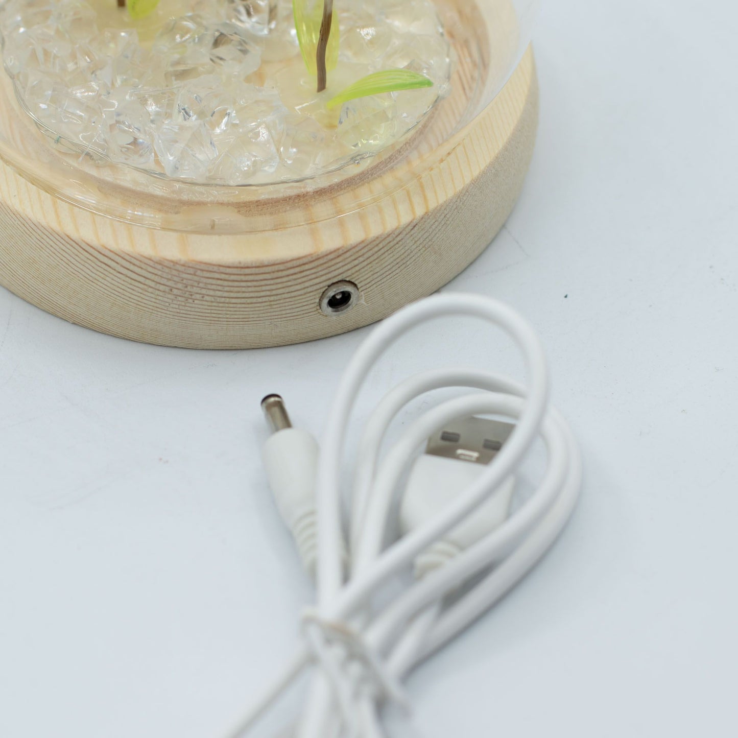 Garden Glow Dome – Dandelight