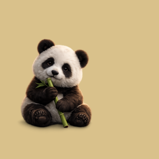 Hello Friend, I’m Bodhi