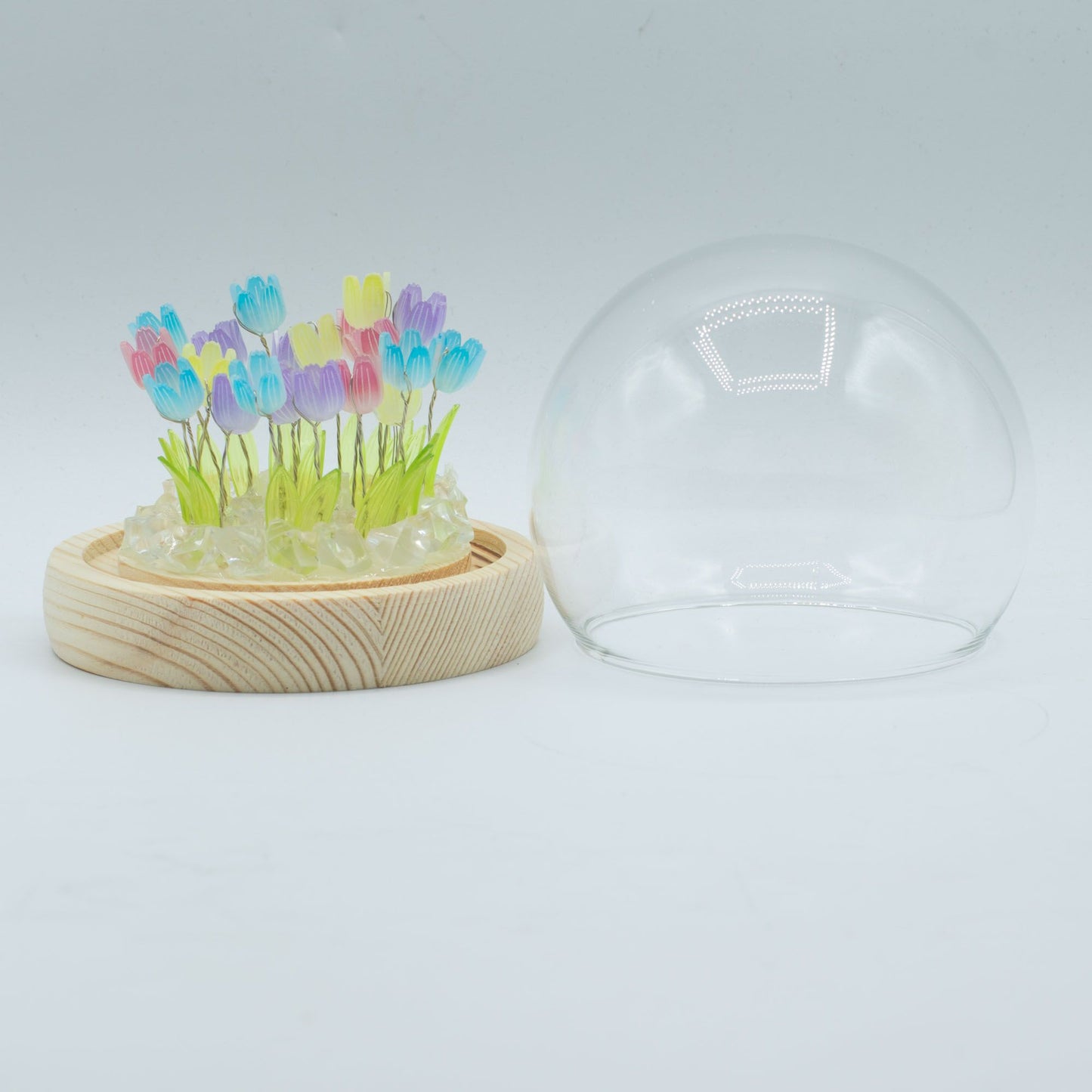 Garden Glow Dome – Bloomlight