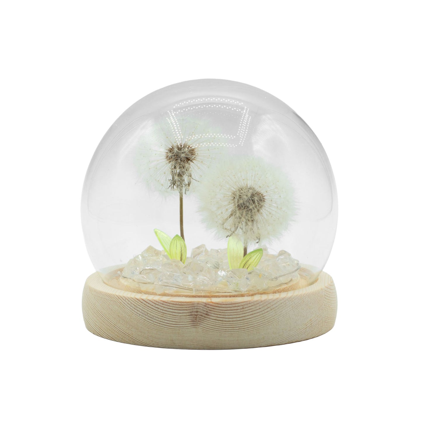 Garden Glow Dome – Dandelight