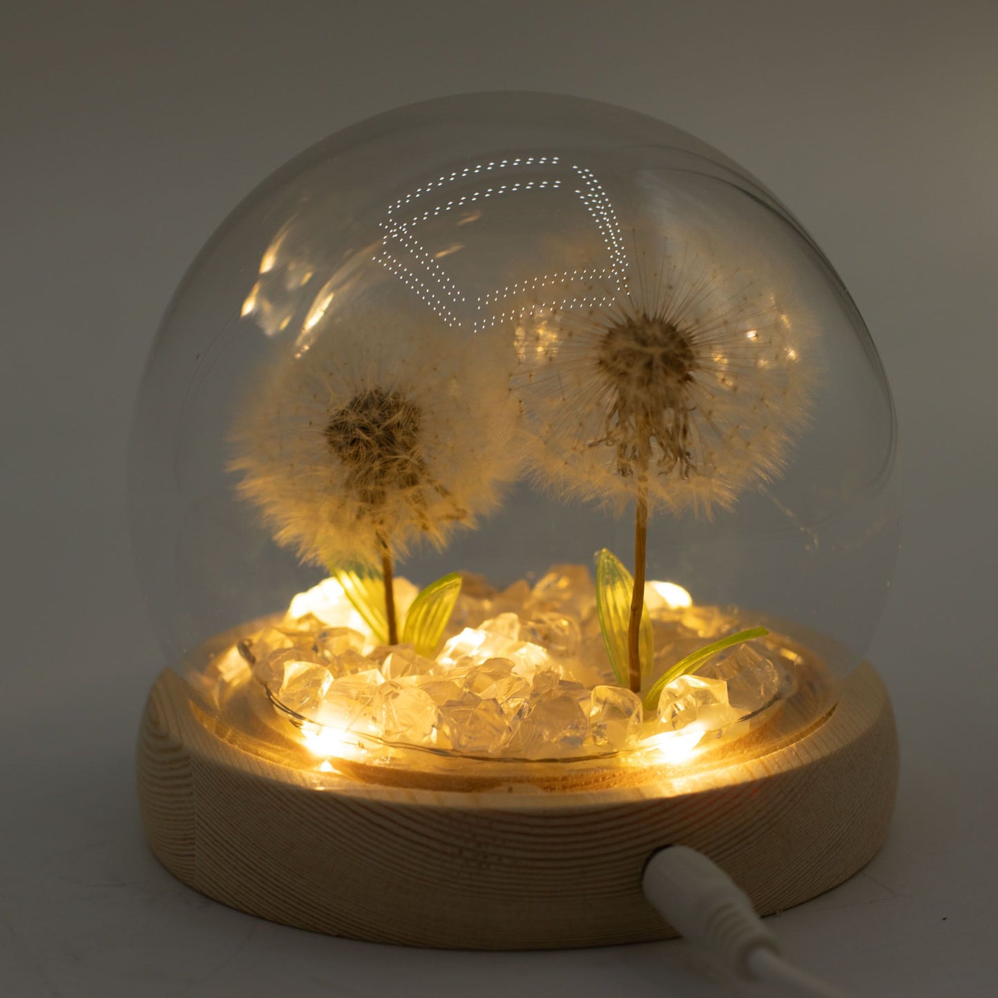 Garden Glow Dome – Dandelight
