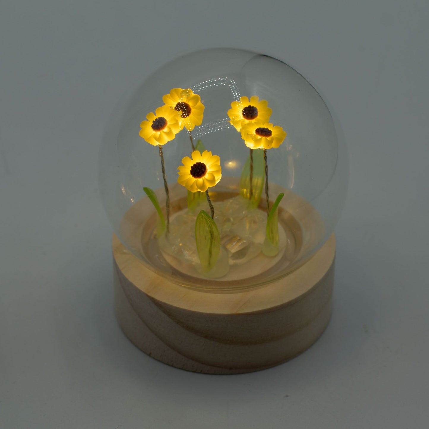 Garden Glow Dome – Sunblossom