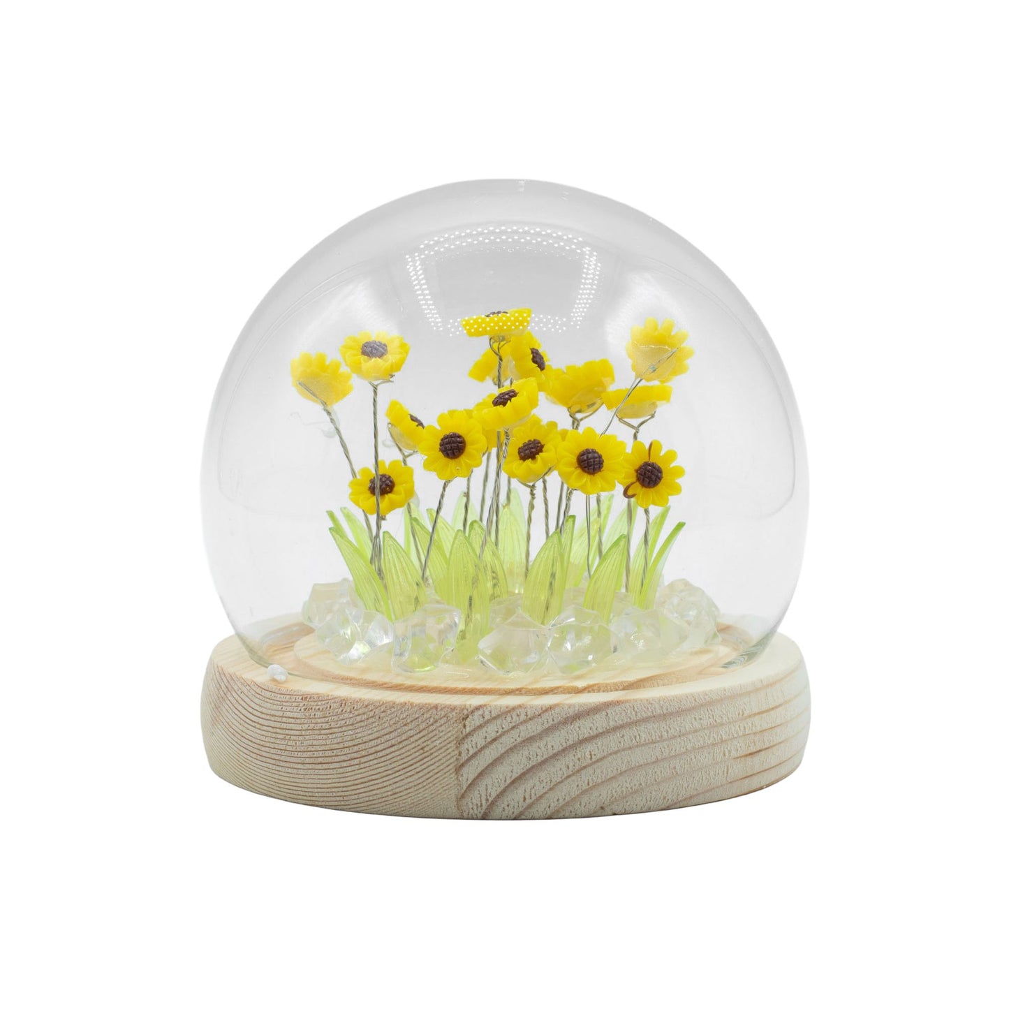 Garden Glow Dome – Seaglow